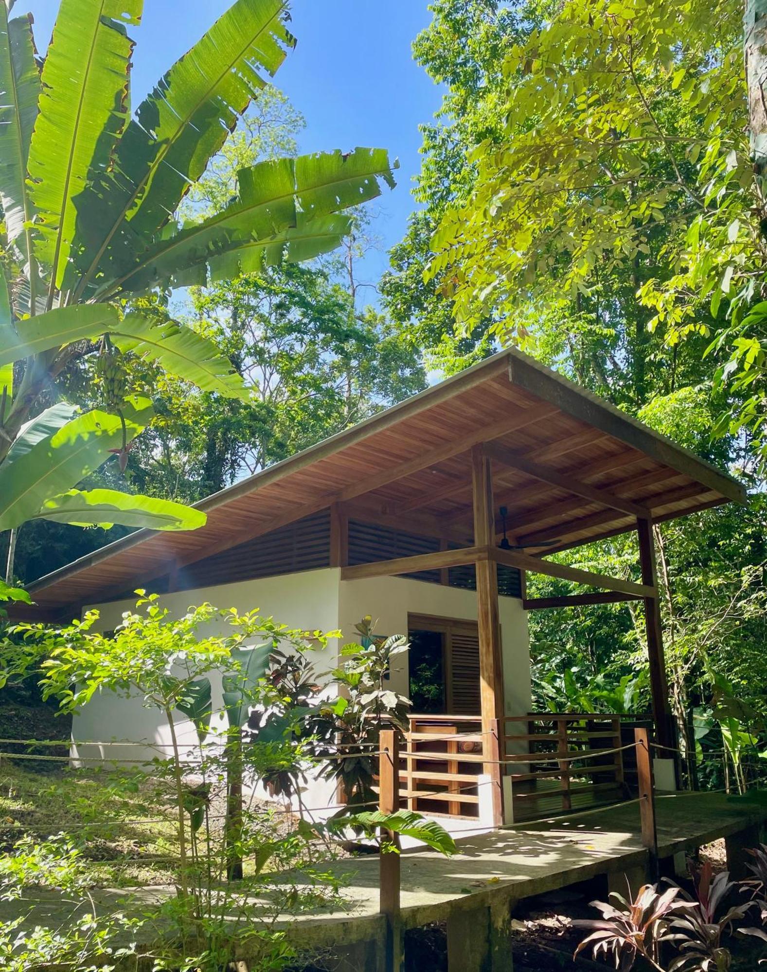 Satta Lodge (Adults Only) Puerto Viejo de Talamanca Exterior foto